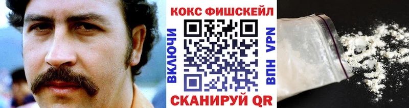 Cocaine Fish Scale  Купить где  Агрыз 