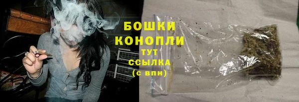 jwh Гусь-Хрустальный