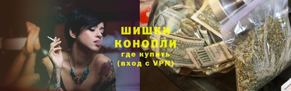 эйфоретик Гусев