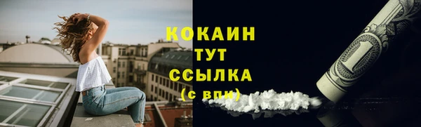 jwh Гусь-Хрустальный