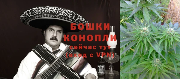 сатива Гусиноозёрск