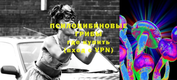 эйфоретик Гусев