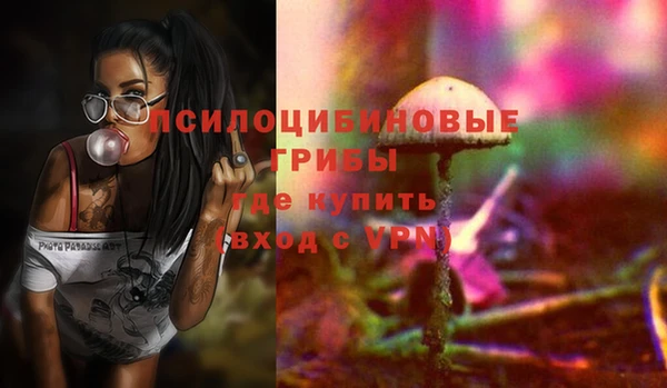 jwh Гусь-Хрустальный